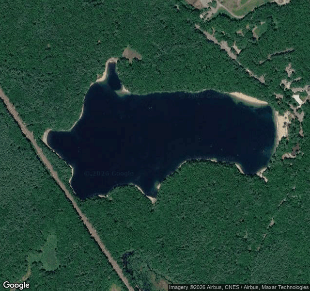 Walden Pond from above: the water closed in by woods on every side, the rail line a straight cut at the left, beach at the eastern shore. Map data © 2026 Google, imagery © Airbus, CNES, Maxar.