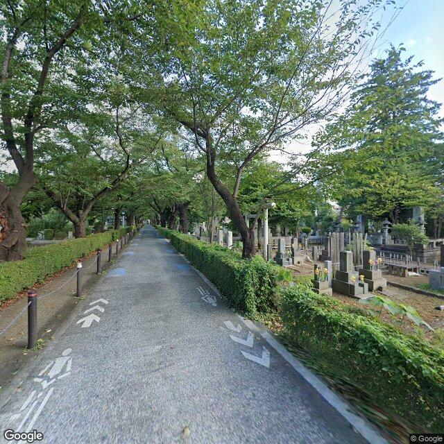 Aoyama Cemetery, Tokyo