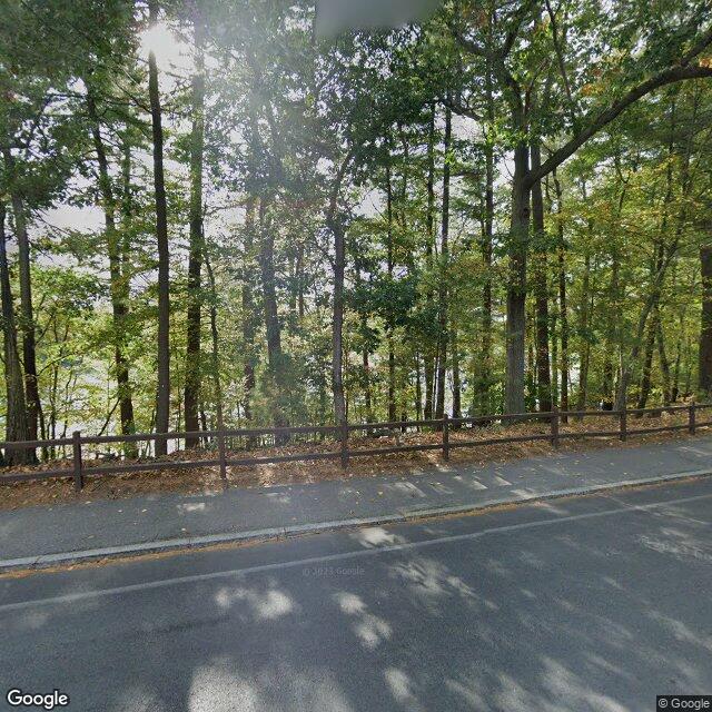 The road along the pond, water visible only in slivers between the trunks. Imagery captured 2023. Street view © Google.