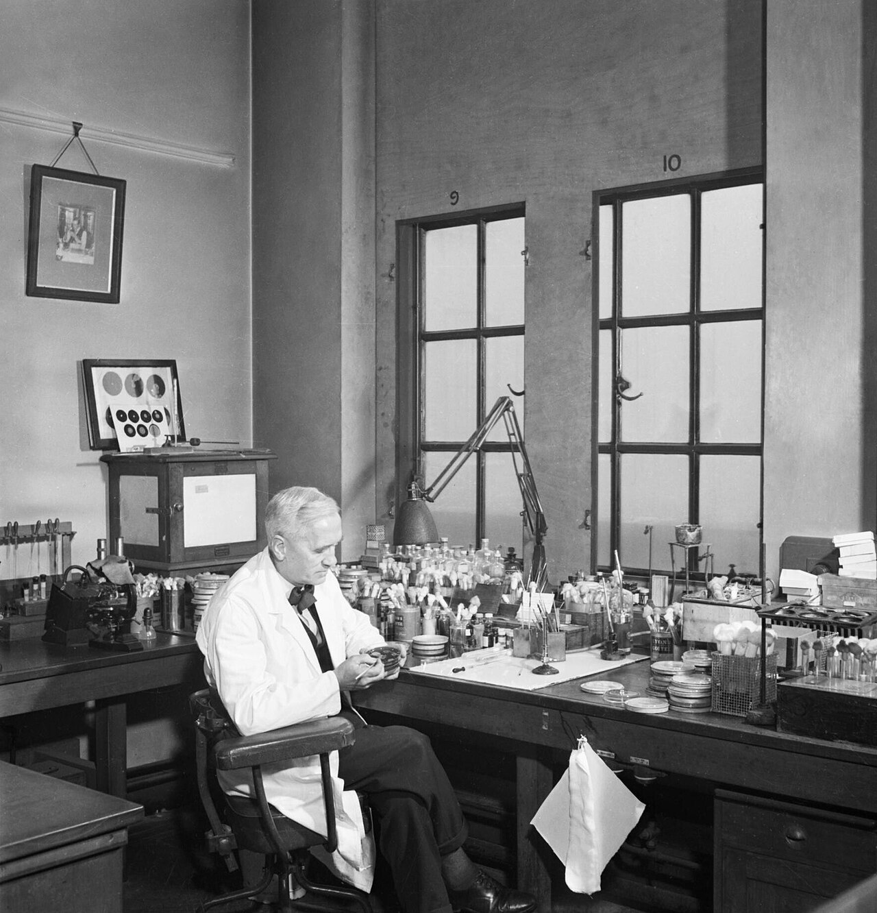 Fleming at his bench, St Mary's Hospital
